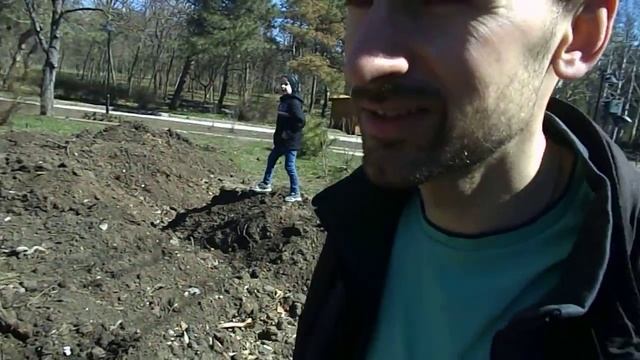 Посадка молодых сосен в парке "Валя Трандафирилор", 23.03