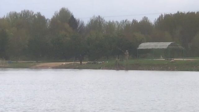 поимка карпа