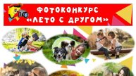 Фото конкурс "Лето с другом - 2023"