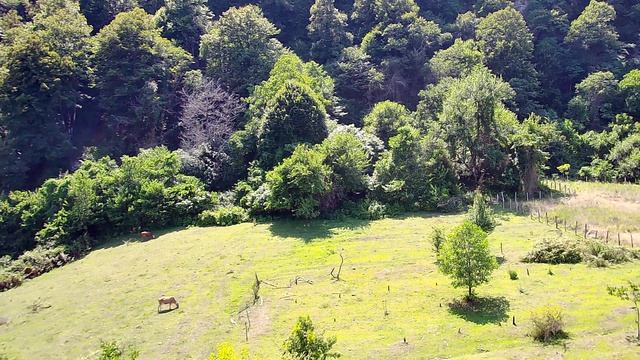 Село Ахалсопели в Абхазии