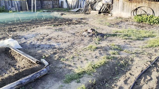 Обычное утро в деревне, на берегу Ахтубы