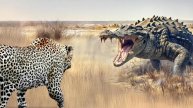 Этот Крокодил Был Обречен. Хищники, которые Явно Ошиблись с Жертвой