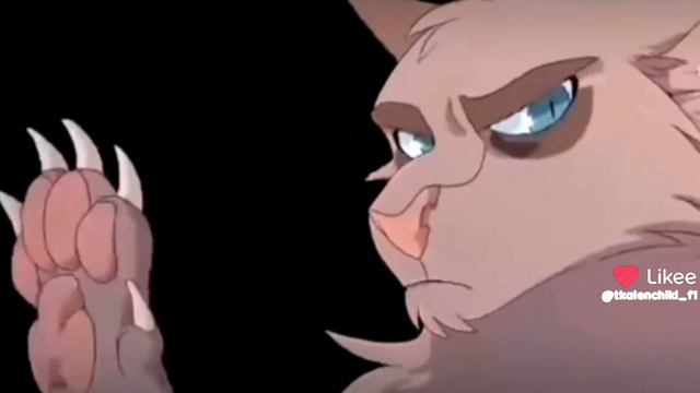 1000035838.mp4