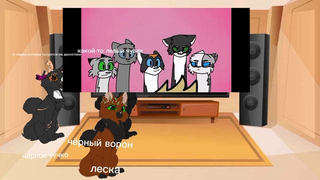 реакция Чёрной тучки, Чёрного ворона и Лесной лапы на котов-воителей!