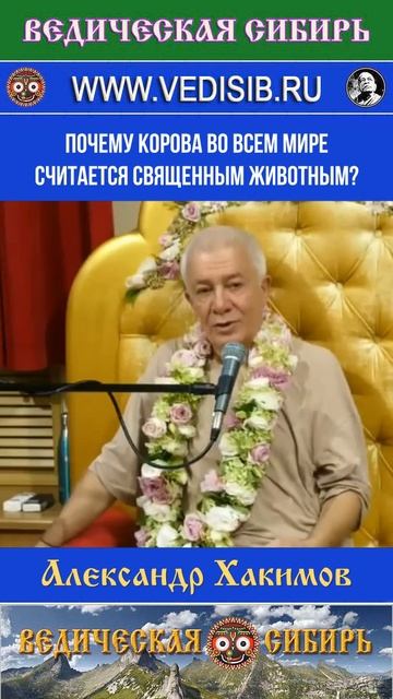 Почему Корова во всех религиях Священное животное?