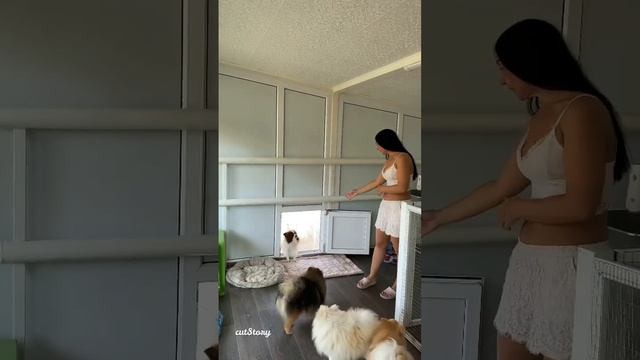 ДОБРО ПОЖАЛОВАТЬ К НАМ В ПИТОМНИК ШПИЦЕВ «Дивный дар Любови»