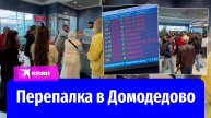 Отмена рейсов в аэропортах Москвы: пассажиры ругаются с работниками Домодедово