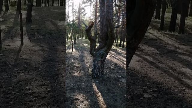 Пойдём, погуляем 😃