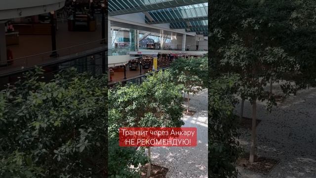 Летела через Анкару в Стокгольм. Не рекомендую! #анкар?