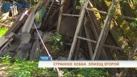 Телевизионная служба новостей (14 мая)