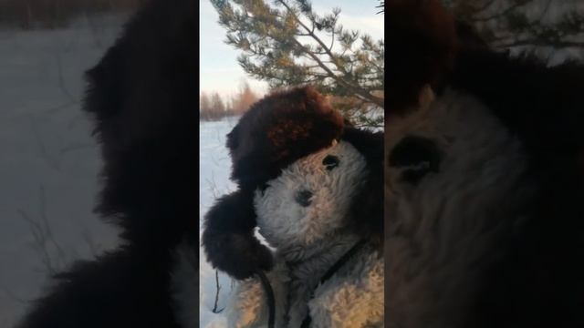 А снег то не расстаял