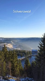 Schwarzwald Reise #urlaub #germany #schwarzwald #forst #wald #natur #sonne #vibes #bergen #snow #sch