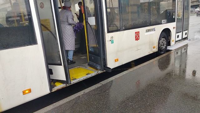 Автобус 187 маршрут МАЗ-203 8231 и 147 маршрут МАЗ-203.947 38509 Железнодорожная станция Аэропорт