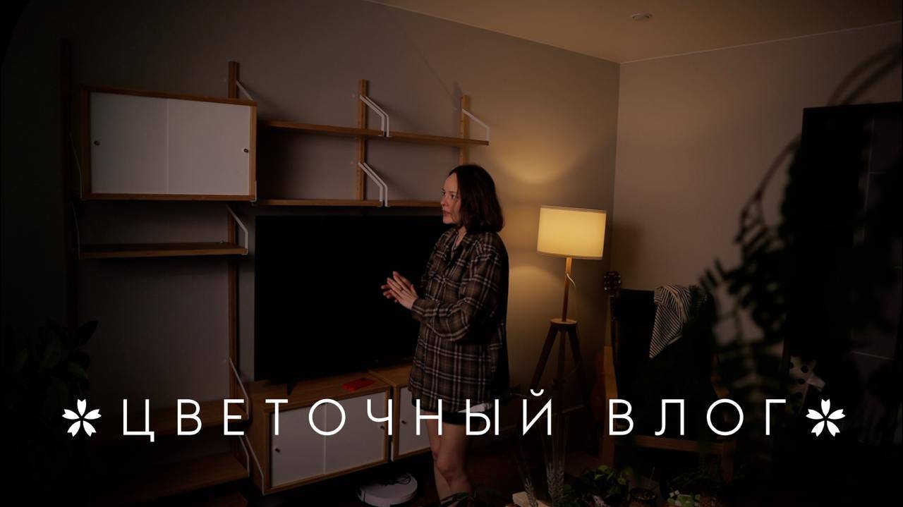 Цветочный влог | Продолжаю переделывать гостиную