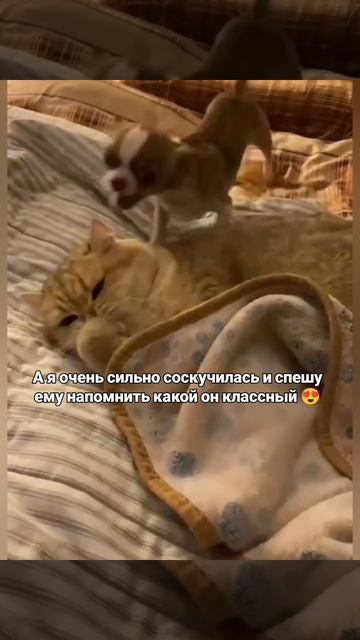 лубоффф