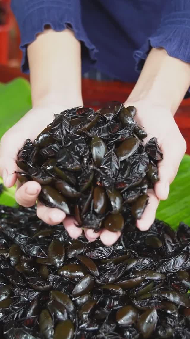 Жарка водяных жуков во фритюре и вкусная еда