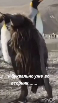 Жизненно🤣🤣🤣