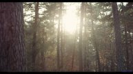 Каждый кадр под эту мелодию - праздник для глаз - Calf Love (ID 754) -- Lobo Loco -- DREAM OF LIGHTN