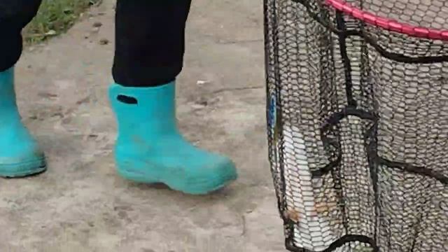 1000029071.mp4