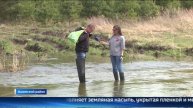 Пик паводка в Ишимском районе Тюменской области пройден
