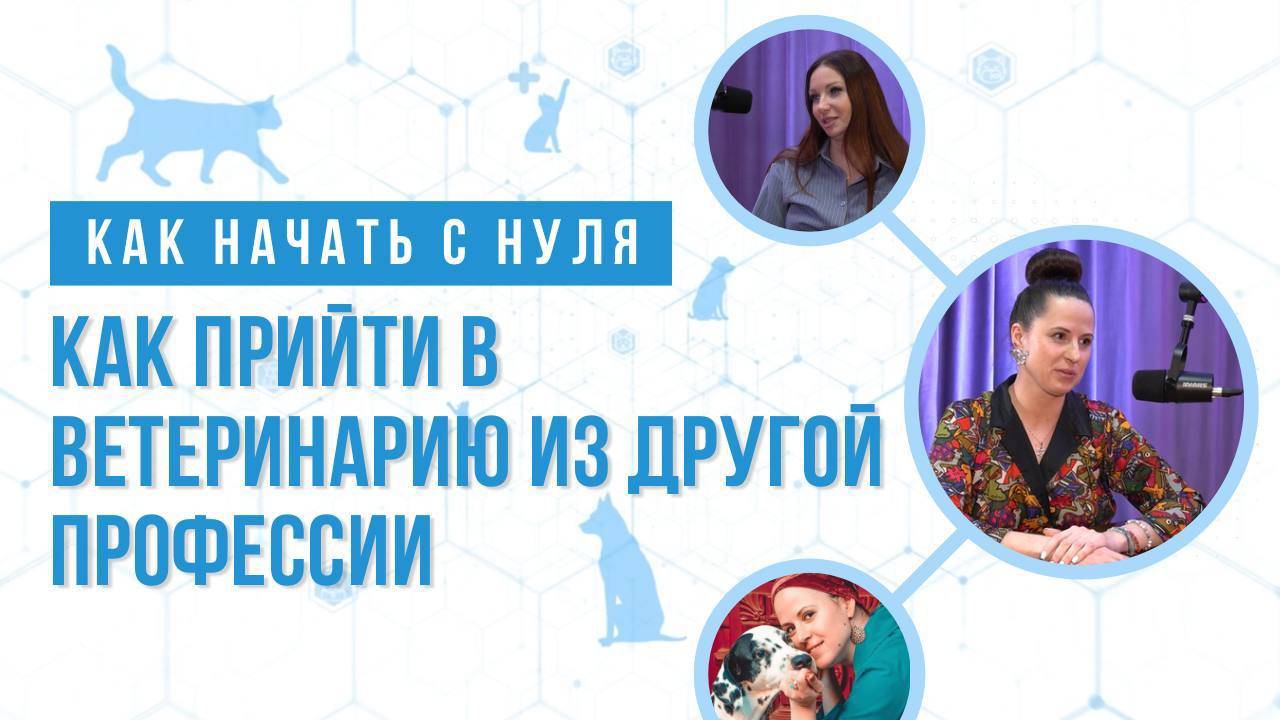 Как прийти в ветеринарию из другой профессии