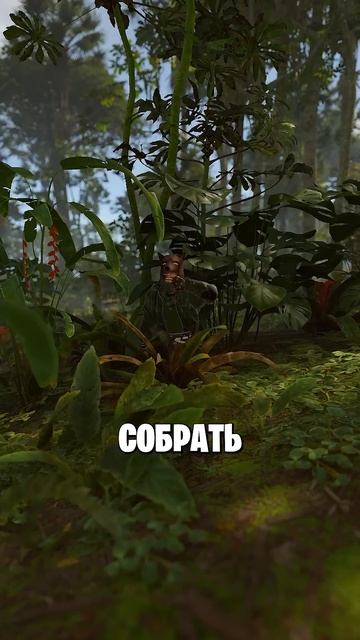 ИМБОВЫЙ СЕТ ДЛЯ НОВОГО БИОМА ДЖУНГЛИ В РАСТ RUST