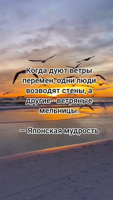 Когда дуют ветры перемен, одни люди возводят стены, а д