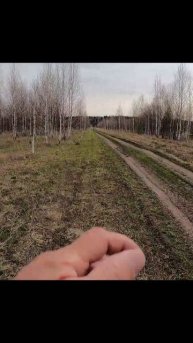 Тетерев - гнездится.