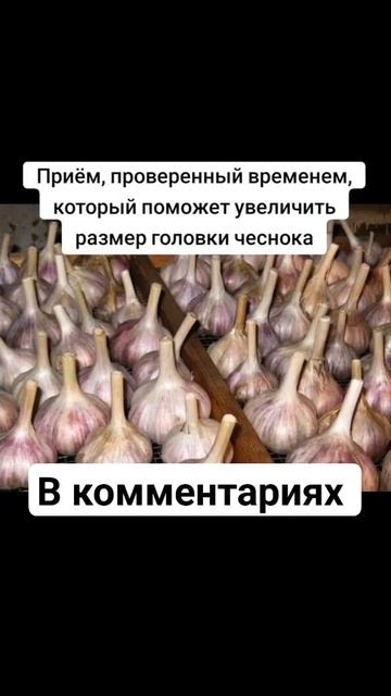 Приём, проверенный временем, который поможет увеличит
