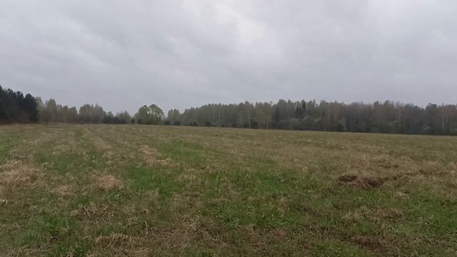 Торги на земельный участок с КН 50:04:0140119:456