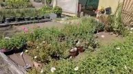 День_Открытых_Дверей__Во_Франц84.mp4
