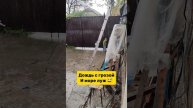 #челендж коллаген 44/86
#день радио