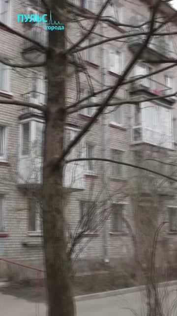 Абсурд как образ жизни