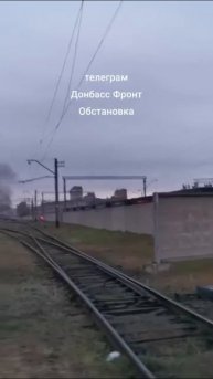 Утренние прилеты Гераней в Харькове.