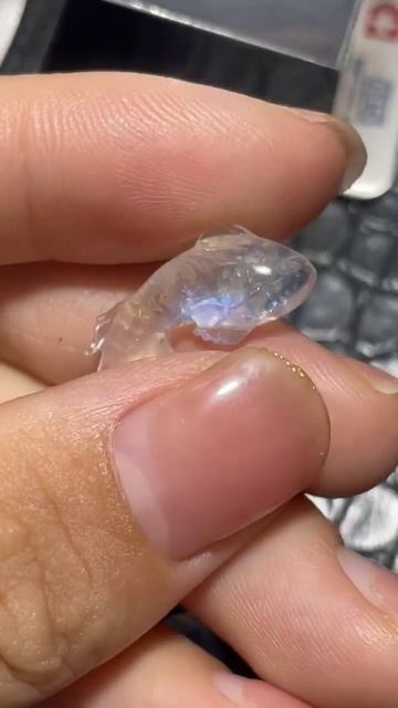 Moonstone Koi carving