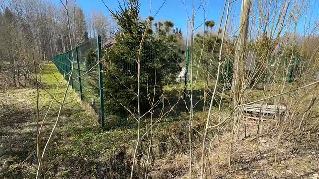 Участок 15 сот у Леса | д.Гостилицы | Газ |
КАД +25км