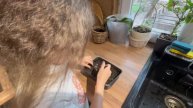 Каштаны. Выращиваем свои деревья