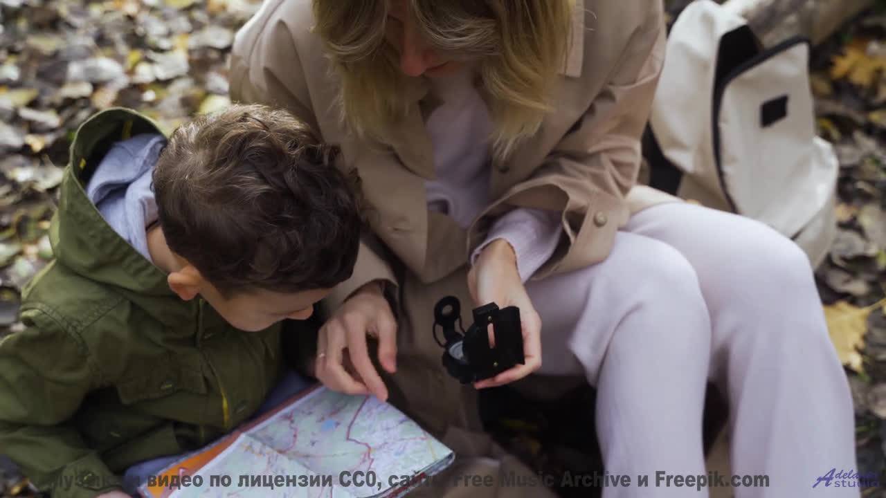 Лес под таким звуком кажется бесконечным и живым - in accordance to natural law -- los pilotos -- st