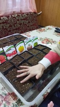 Песня сеять помогает.