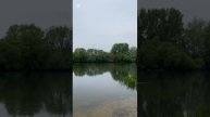 город Орел