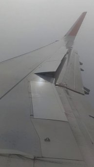 1000113591.mp4