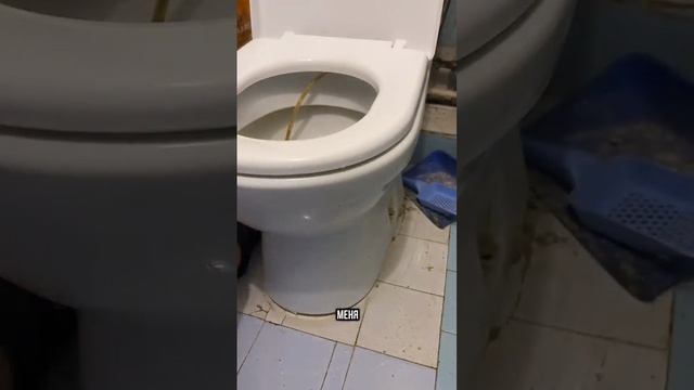 Любовь,забота,внимание