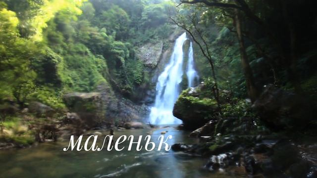 цитаты о любви