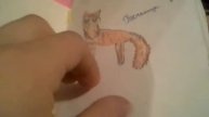 Коты воители рисунки