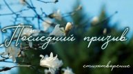 Последний призыв | стихи христианские