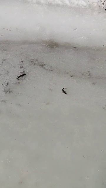 1000005923.mp4