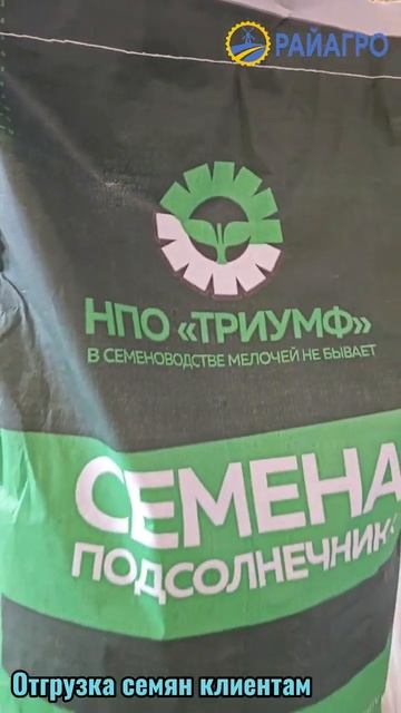 Отгрузка семян клиентам: Процесс и надёжность от РайА?