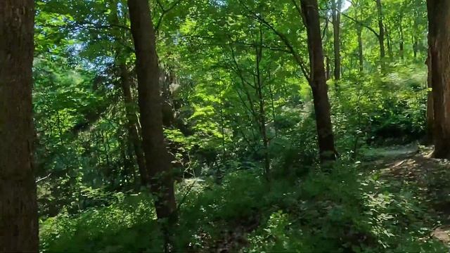 Шуваловский парк – Природа в центре Санкт-Петербурге.