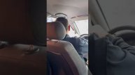 Покупка романовского баранчика. Государева гора Мариинский Посад
