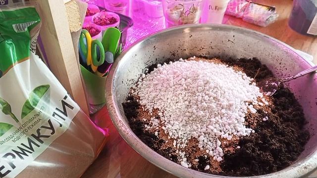 Грунт для рассады🌱Все нюансы🤔/Пересадка ТОМАТОВ из